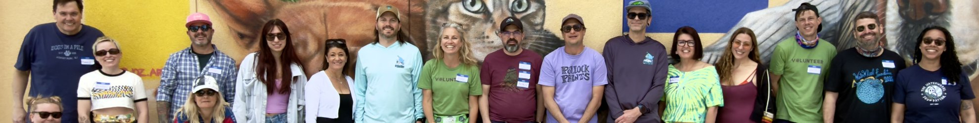 Volunteer backgound banner